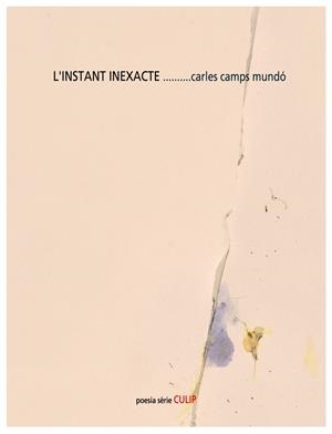 INSTANT INEXACTE, L' | 9788481280401 | CAMPS MUNDÓ, CARLES
