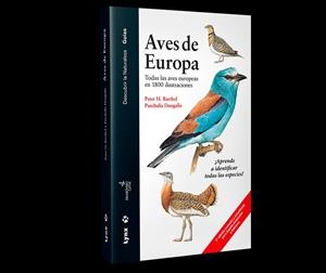 BIRDS OF THE MESOZOIC. AN ILLUSTRATED FIELD GUIDE | 9788416728527 | BENITO, JUAN / OLIVÉ, ROC