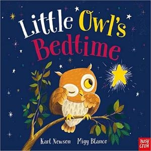 LITTLE OWL'S BEDTIME | 9781839948893 | NEWSON, KARL