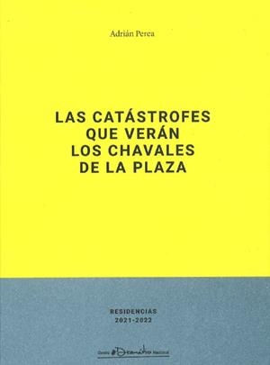 CATASTROFES QUE VERAN LOS CHAVALES DE LA PLAZA | 9788490414576 | PEREA, ADRIAN