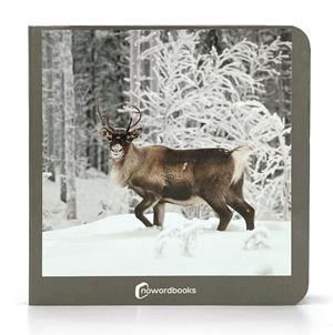 ANIMALS POLARS / ANIMALES POLARES | 9788412534474