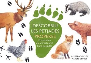 DESCOBRIU LES PETJADES PROPERES | 8425402888735 | GEORGE, MARCEL