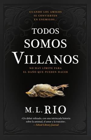 TODOS SOMOS VILLANOS | 9788419030474 | RIO, M. L.