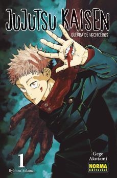 JUJUTSU KAISEN 01 | 9788467961119 | AKUTAMI, GEGE