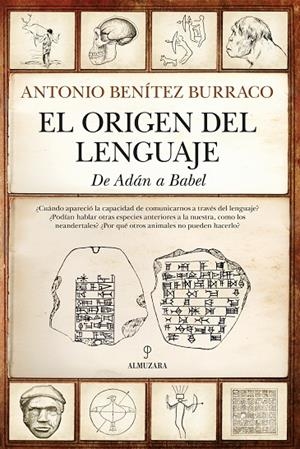 ORIGEN DEL LENGUAJE, EL | 9788411314992 | BENÍTEZ BURRACO, ANTONIO
