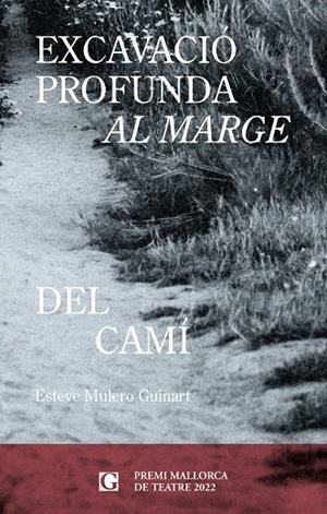 EXCAVACIÓ PROFUNDA AL MARGE DEL CAMÍ | 9788412633030 | MULERO, ESTEVE