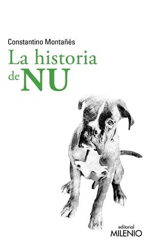 HISTORIA DE NU, LA | 9788497439800 | MONTAÑÉS NÚÑEZ, CONSTANTINO