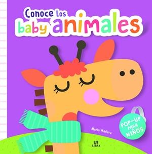 CONOCE LOS BABY ANIMALES | 9788466240864 | EQUIPO EDITORIAL