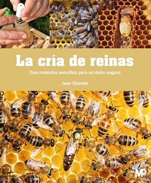 CRIA DE REINAS, LA | 9788484769712 | RIONDET, JEAN