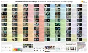 TAULA DELS MINERALS DE CATALUNYA. MICROSCÒPIA DE MINERALS REPRESENTATIUS DEL SUBSTRAT GEOLÒGIC | 9788418601019 | INSTITUT CARTOGRÀFIC I  GEOLÒGIC DE CATALUNYA