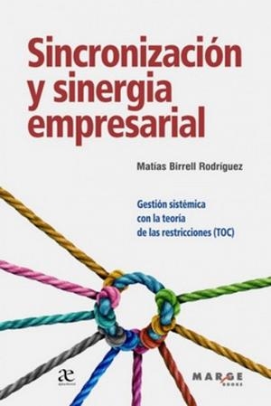 SINCRONIZACIÓN Y SINERGIA EMPRESARIAL | 9788419109323 | BIRRELL RODRÍGUEZ, MATÍAS