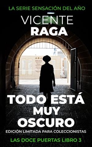 TODO ESTÁ MUY OSCURO | 9788419765062 | RAGA SEGARRA, VICENTE