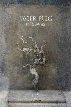 EN LA MIRADA | 9788419343536 | PUIG LOPEZ, FRANCISCO JAVIER