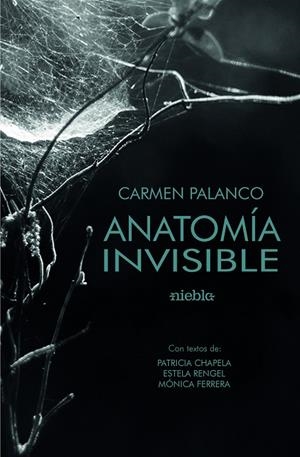 ANATOMÍA DE LO INVISIBLE | 9788412569247 | PALANCO, CARMEN