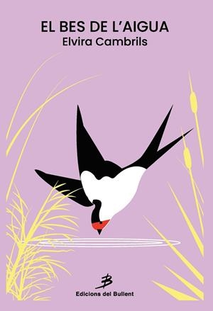 BES DE L'AIGUA, EL | 9788499042749 | CAMBRILS, ELVIRA