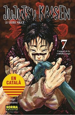 JUJUTSU KAISEN 07 (ED. EN CATALÀ) | 9788467957617 | AKUTAMI, GEGE