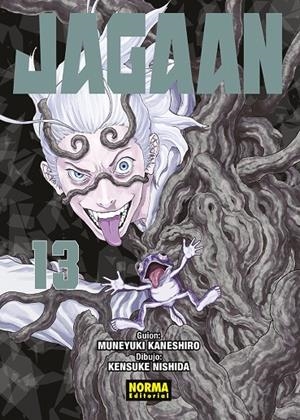 JAGAAN 13 | 9788467960310 | KANESHIRO, MUNEYUKI