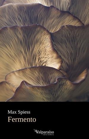 FERMENTO | 9788419347565 | SPIESS, MAX
