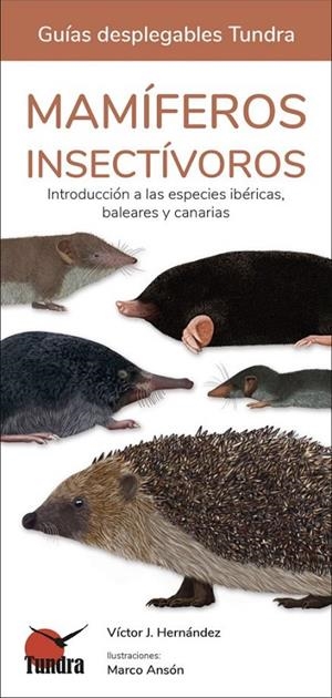 MAMÍFEROS INSECTÍVOROS | 9788419624130 | HERNÁNDEZ, VÍCTOR J.