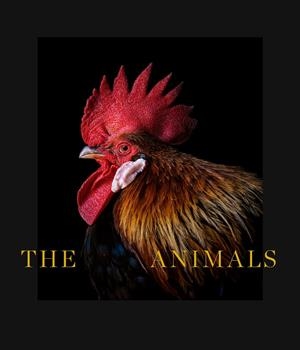 ANIMALS, THE | 9788418934063 | DE CASTRO, ESTELA