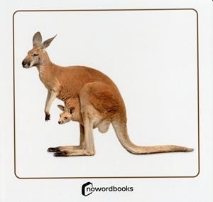 ANIMALS SALVATGES I LES SEVES CRIES / ANIMALES SALVAJES Y SUS CRIAS | 9788412683639