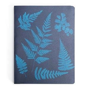 DETENTE, INSTANTE. UNA HISTORIA DE LA FOTOGRAFÍA | 9788470756726