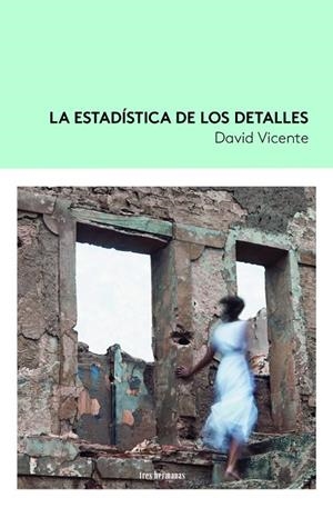 ESTADÍSTICA DE LOS DETALLES, LA | 9788419243140 | VICENTE, DAVID