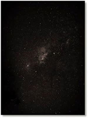 INDAGO | 9788460869900 | QUINTANAS NOBEL, YURIAN