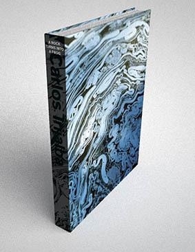 A ROCK TURNS INTO A FROG | 9788412322408 | IRIJALBA, CARLOS