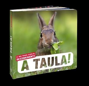 A TAULA! EL MEU PRIMER ALBUM DE DESCOBRIMENTS | 9788418762710 | NATURAGENCY