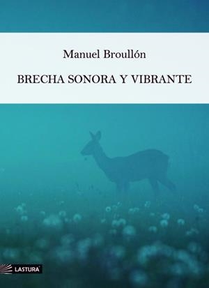 BRECHA SONORA Y VIBRANTE | 9788412706819 | BROULLÓN, MANUEL