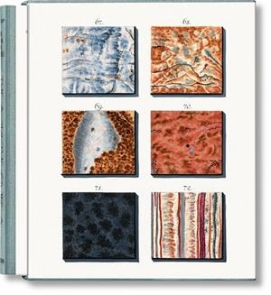 JAN CHRISTIAAN SEPP. THE BOOK OF MARBLE | 9783836594349 | SEPP, JAN CHRISTIAAN