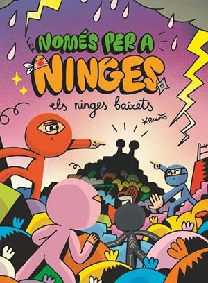 NOMES PER A NINGES 06. ELS NINGES BAIXETS | 9788466154307 | PUÑO