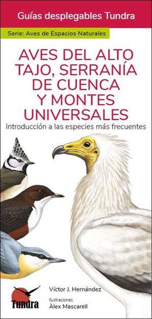 AVES DEL ALTO TAJO, SERRANIA DE CUENCA Y MONTES UNIVERSALES | 9788419624161 | HERNANDEZ, VICTOR J.