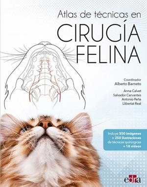 ATLAS DE TECNICAS EN CIRUGIA FELINA | 9788418706844 | BARNETO CARMONA, ALBERTO / CERVANTES SALA, SALVADOR / ALEMANY, ANNA CALVET / PEÑA RODRÍGUEZ, ANTONIO
