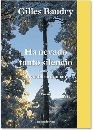 HA NEVADO TANTO SILENCIO | 9788412519129 | BAUDRY, GILLES