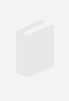 SISTEMAS DE BIG DATA | 9788419857187 | LOPEZ FANDIÑO, VICTOR MANUEL 