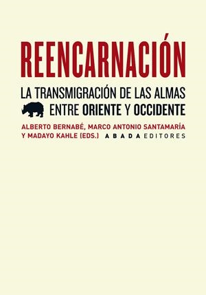 REENCARNACIÓN | 9788415289258 | VARIOS AUTORES