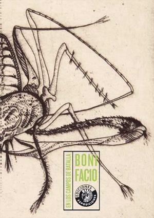 EN LOS CAMPOS DE BATALLA | 9788486418854 | GÓMEZ FERNÁNDEZ, BONIFACIO ALFONSO