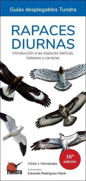 RAPACES DIURNAS. GUIAS DESPLEGABLES TUNDRA (16 EDICIÓN) | 9788419624215 | HERNÁNDEZ, VÍCTOR J.