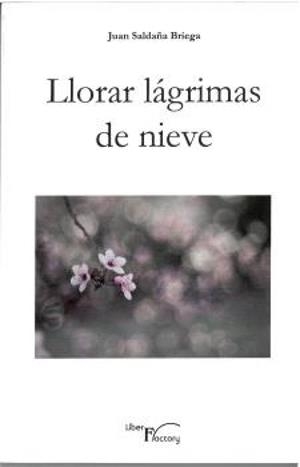 LLORAR LAGRIMAS DE NIEVE | 9788419669636 | SALDAÑA BRIEGA, JUAN