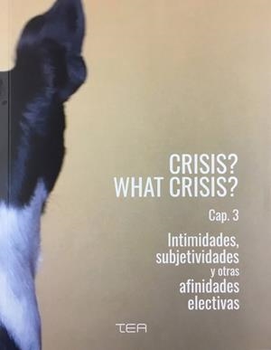 CRISIS? WHAT CRISIS? CAP. 3 INTIMIDADES, SUBJETIVIDADES Y OTRAS AFINIDADES ELECTIVAS | 9788412492828 | LEMES, MONEIBA / SALAS, RAMÓN