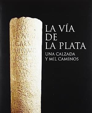 VÍA DE LA PLATA, LA | 9788496411395