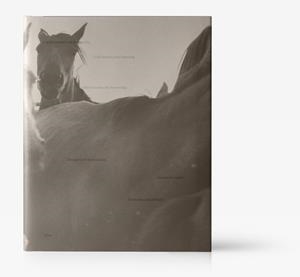 MANUEL NARANJO MARTELL, 2016 | 9788417769642 | NARANJO MARTELL, MANUEL