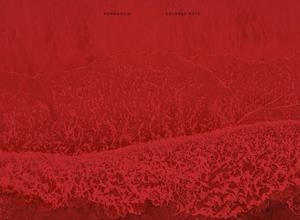 NORMANDIE | 9788417769482 | NAVE, EDUARDO