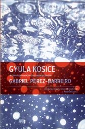 GYULA KOSICE | 9780982354483 | KOSICE, GYULA