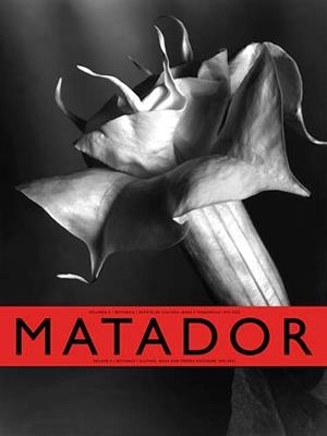 REVISTA MATADOR VOL.R | 9789771135173