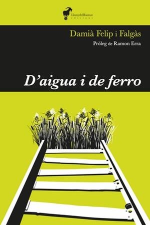 D'AIGUA I DE FERRO | 9788412575255 | FELIP FALGÀS, DAMIÀ