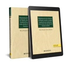 DETERMINACION DE LA FILIACION EN ESPAÑA CUANDO SE EMPLEA LA GESTIACIÓN... | 9788411636308 | ROMERO GARCÍA-ARANDA, BELÉN
