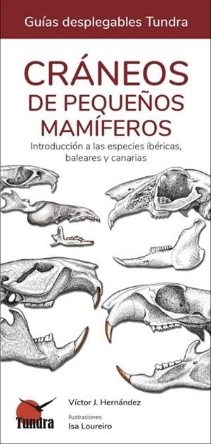 CRANEOS DE PEQUEÑOS MAMIFEROS | 9788419624185 | HERNANDEZ, VICTOR J.